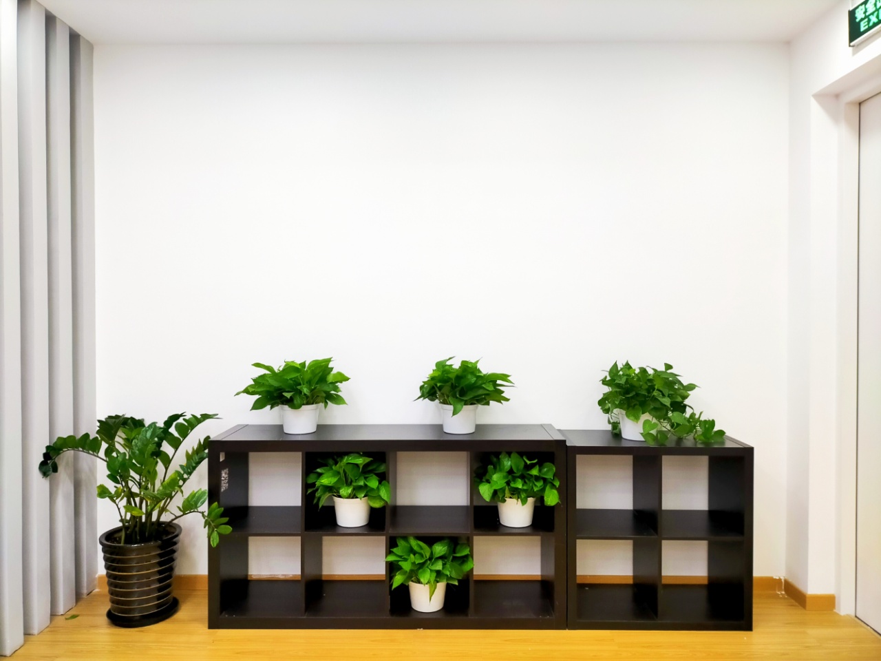 望京SOHO精装修带家具