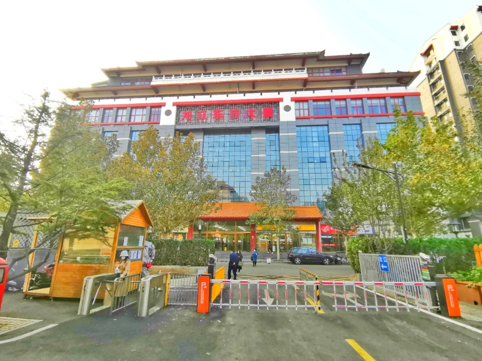 龙立东方大厦