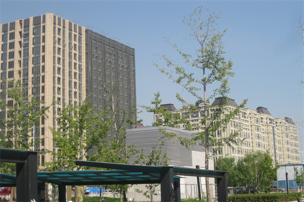 绿地财富中心（大兴绿地中央广场云中心）