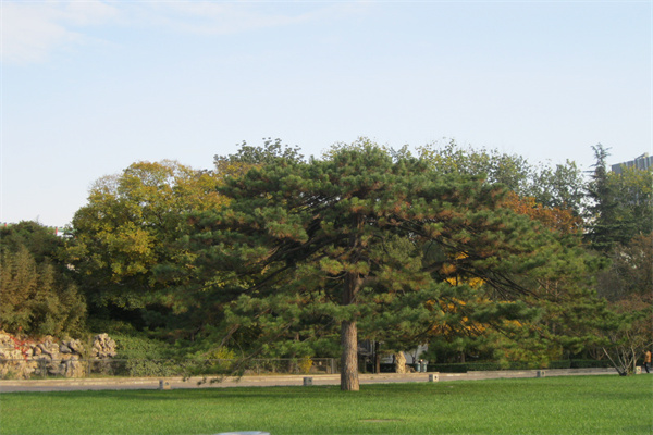 北京友谊宾馆