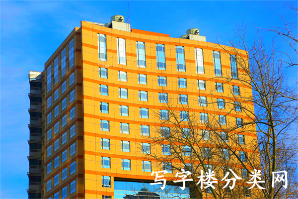 迪阳大厦