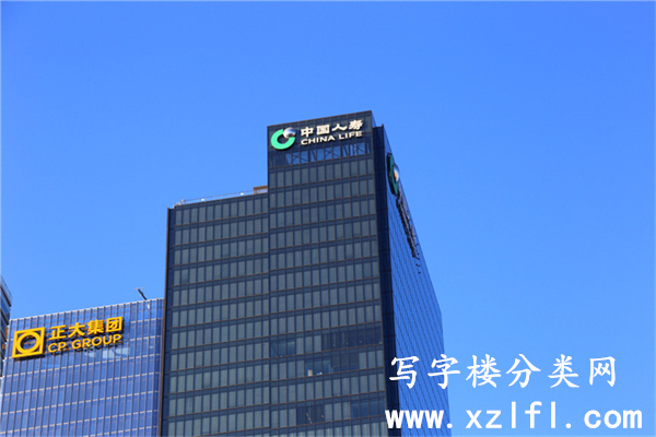 中国人寿金融中心