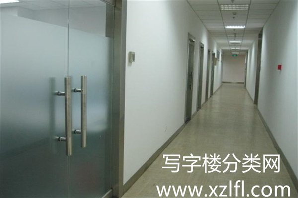 龙宝大厦四层公司走廊1 (小型)