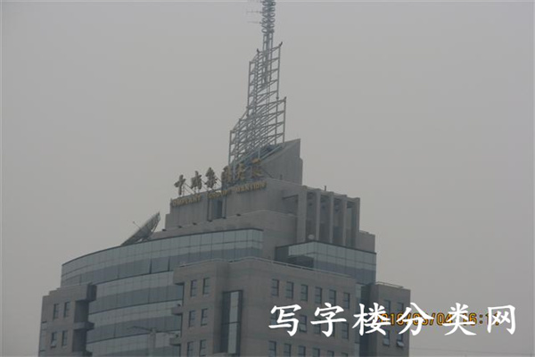 中成集团大厦 (小型)