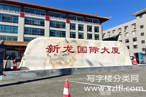 新龙国际大厦