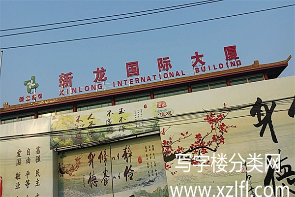 新龙国际大厦