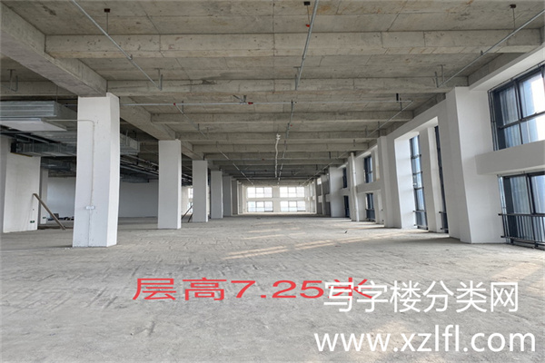 金辉·时八区