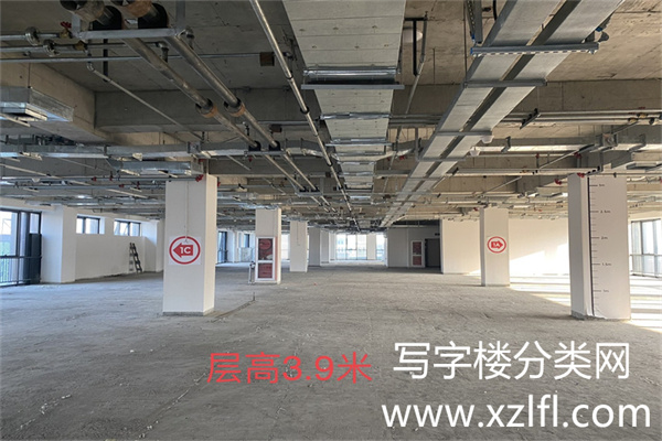 金辉·时八区