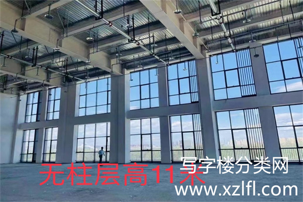 金辉·时八区