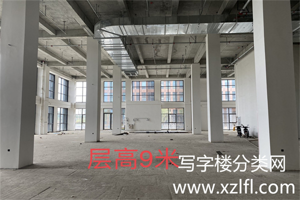 金辉·时八区