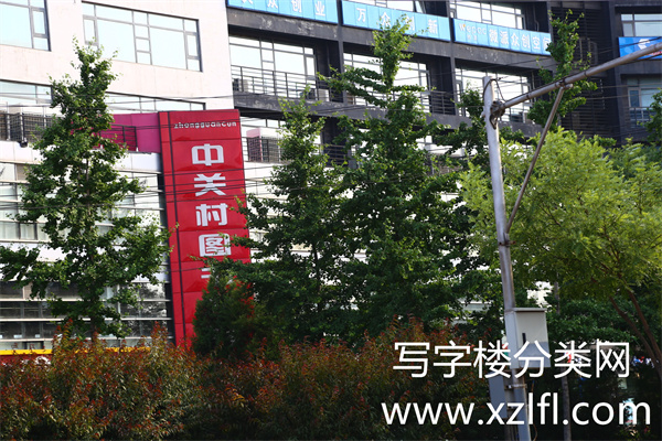 左岸工社 (6)