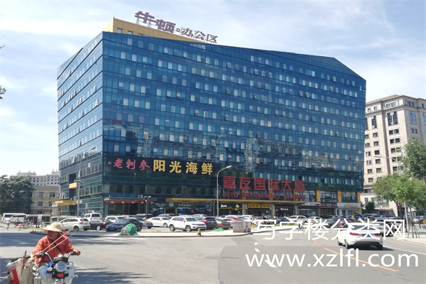 嘉友国际大厦（曙光国际大厦）（牛顿办公区）