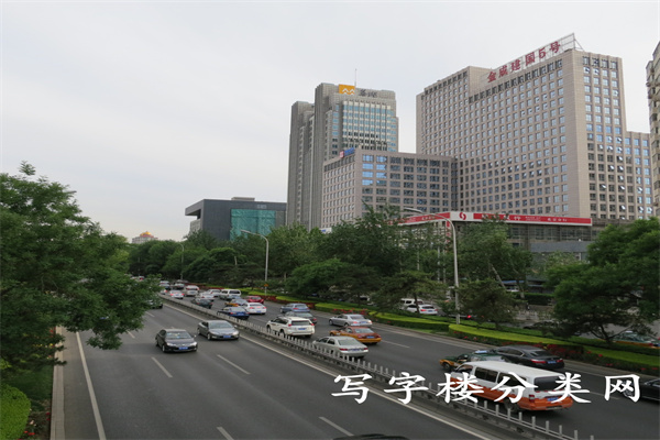 金成建国五号——金成建国5号