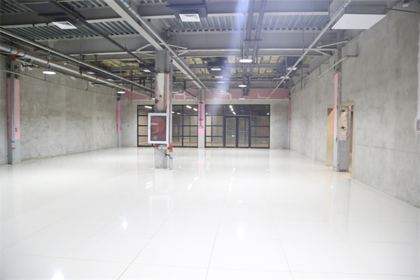 学院8号