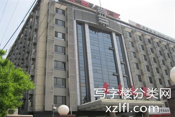 金鑫大厦——金鑫商务大厦照片