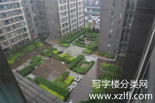 龙德紫金大厦院内景色 (2)