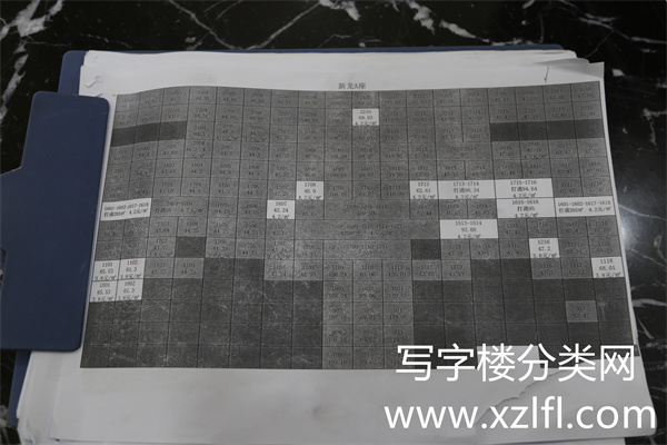 新龙大厦写字楼出租的户型面积等复式平层 (2)