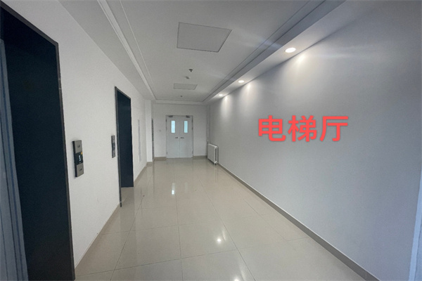 外国语大学东门对面，魏公村8号