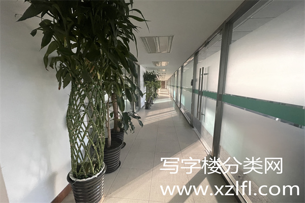 凯富大厦，8层，办公区域，可以选择朝南的朝北的户型